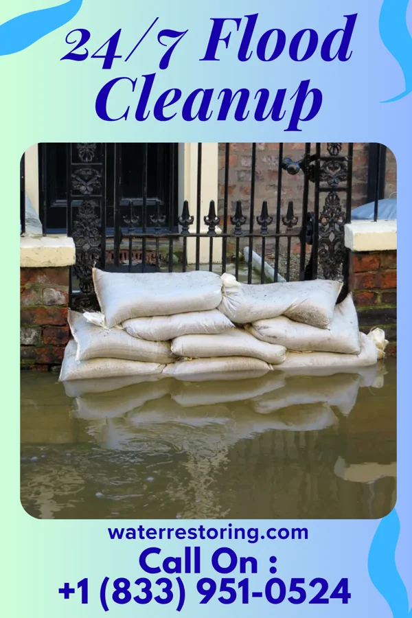 24/7 Flood Cleanup in Cobden, MN