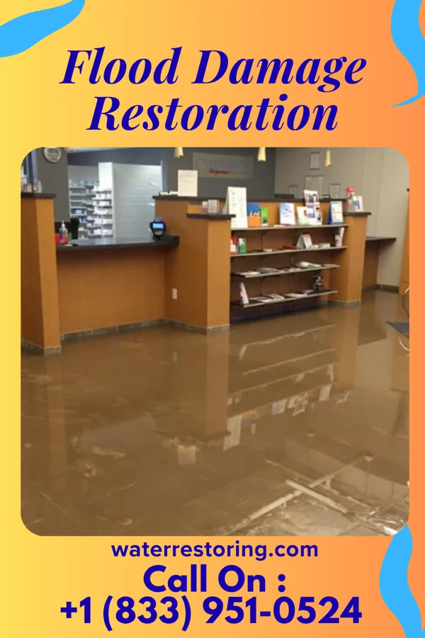 Flood Damage Restoration in Cobden, MN