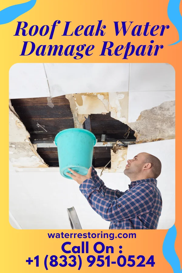 Roof Leak Water Damage Repair in Cobden, MN